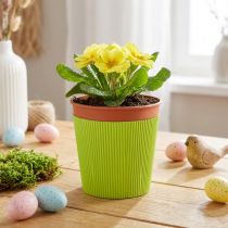 Artikel Geplooide manchetten voor bloempotten lichtgroen 14,5cm 100 stuks