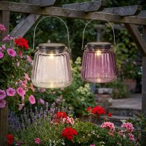 Artikel LED Tuinlamp Glas Solar voor Hangend Paars Ø10.5cm 2st