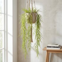 Artikel Succulent hangend groen 145cm