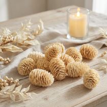 Artikel Sabulosum kegels gebleekt 500g