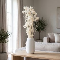 Artikel Gedroogde nigellabloemen, een boeket elegante natuurlijke decoratie voor exclusieve interieurs, 70 cm, 50 g