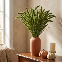 Artikel Gedroogde bloemen, Setaria Pumila, groene borstelgierst 75 cm 200 g