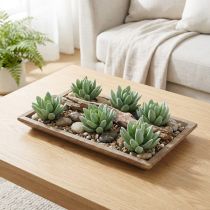 Artikel Vetplant Echeveria Ø6,5cm L11cm 6 st