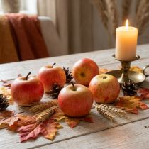 Artikel Decoratieve appels Cox 6 cm 6 stuks