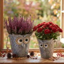 Artikel Decoratieve emmer uil plantenbak zink met handvat Ø15/19cm set van 2