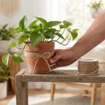 Artikel Koord jute naturel Ø6mm 9m