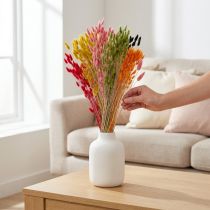 Artikel Hazenstaartgras Lagurus Gedroogd Gekleurd 60cm 50g