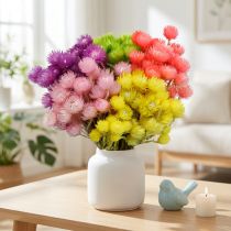 Artikel Droogbloemen Deco Cap Bloemen Strobloemen Gekleurd H42cm
