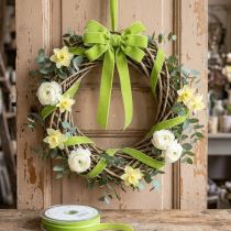 Artikel Fluwelen lint lichtgroen decoratief lint fluweelgroen 10mm 20m