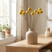 Artikel Gedroogde Craspedia-bloemen, geel, 70 cm, decoratief, 10 stuks