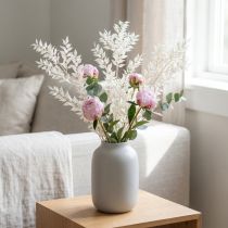 Artikel Ruscus takken decoratieve takken droogbloemen gebleekt 10 stuks
