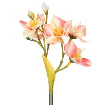 Artikel Decoratieve bloeiende takken van de Peruaanse lelie voor tijdloze bloemstukken, 33 cm, 6 stuks