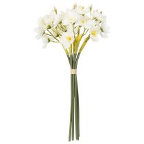 Artikel Narcissentakken voor seizoensgebonden bruiloftsarrangementen, prachtig, 33 cm, 6 stuks