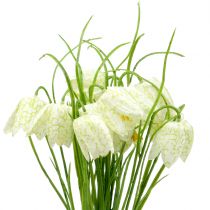 Artikel Schaakbord bloemen Fritillaria kunst wit, groen 40cm 12st