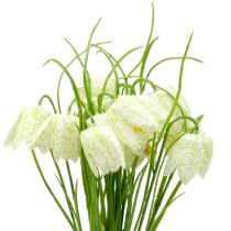 Artikel Schaakbordbloemen Fritillaria kunstwit, groen 40cm 12 st