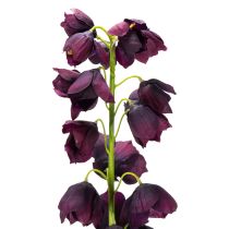 Artikel Levensechte replica van Fritilaria voor elegante bloemstukken en boeketten, 78 cm