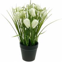 Fritillaria in pot, geblokte bloem groen en wit, kunstbloem