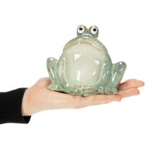 Artikel Decoratief keramisch kikkerfiguurtje, gedetailleerd ontwerp, charmant cadeau-idee, 13 cm