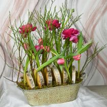 Artikel Lente decoratie bloempot ovale metalen plantenschaal met handgrepen vintage 28×15cm