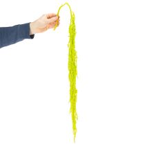 Artikel Gedroogde bloemen Amarant geverfd voor bijzondere woondecoratie en unieke accenten 100 cm, 5 stuks