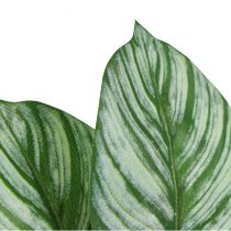 Artikel Calathea Kunstmand Marante Kunstplanten Groen 51cm