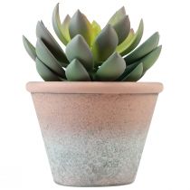 Vetplant in pot Echeveria kunstgroen vintage Ø15cm H16cm