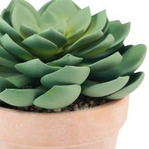 Artikel Vetplant in pot Echeveria kunstgroen Ø15cm