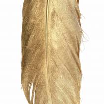 Gouden veren voor handwerk 16-18cm 12st