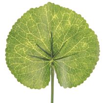 Artikel Galax Urceolata Bladeren Kunstmatig Groen Ø10cm L23cm 12 stuks
