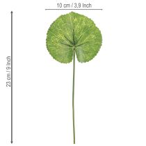 Artikel Galax Urceolata Bladeren Kunstmatig Groen Ø10cm L23cm 12 stuks