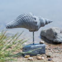 Tuinbeeldje schelp op standaard H30cm