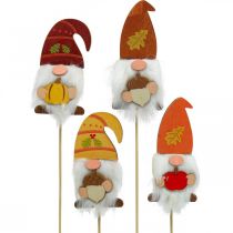 Artikel Tuinpalen Kabouter Herfstdecoratie Hout Assortiment 39cm 8 st