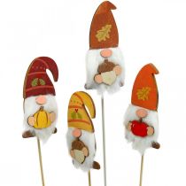 Artikel Tuinpalen Kabouter Herfstdecoratie Hout Assortiment 39cm 8 st