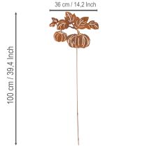 Artikel Tuinpaal met pompoenmotief, metalen decoratie, roestkleurige afwerking, 100 cm