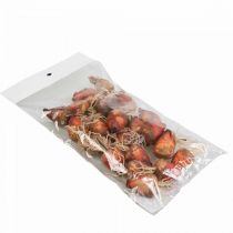 Artikel Groentedecoratie mini bieten kunst Ø2,5cm H3,5cm 24 st