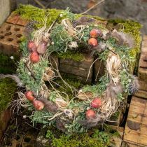 Artikel Groentedecoratie mini bieten kunst Ø2,5cm H3,5cm 24 st