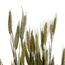Artikel Gerstkorrel decoratie droge decoratie naturel 80cm bos 1 stuk