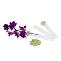 Artikel Arrangementbuizen 10x1,6cm 100 stuks