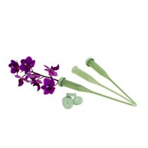 Artikel Arrangementbuizen 15 x 1,5 cm 100 stuks