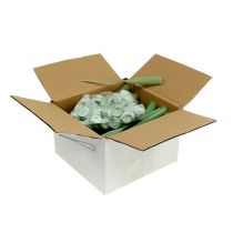 Artikel Bloemenbuisjes 15 x 1,5 cm, 100 stuks