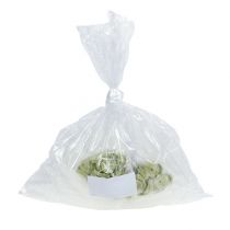 Artikel Arrangementbuizen 7,5 x 1,5cm 100 stuks