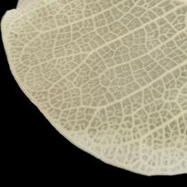 Artikel Decoratie gedroogde bladeren Moneta droge bloemisterijcrème 100g