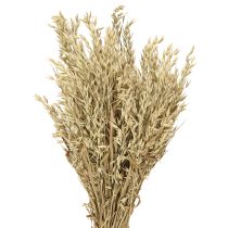 Artikel Gedroogde haver decoratieve haverbos natuurlijke decoratiebos 60cm 200g