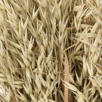 Artikel Gedroogde haver decoratieve haverbos natuurlijke decoratiebos 60cm 200g