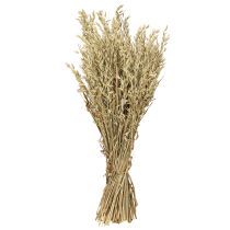 Artikel Gedroogde haver decoratieve haverbos natuurlijke decoratiebos 60cm 200g