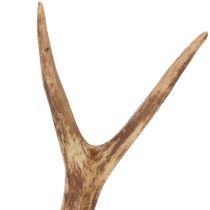 Artikel Kunstmatige geweien, levensecht, rustiek, 32 cm