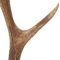 Artikel Decoratieve kunstmatige geweien, rustieke blokhutdecoratie, 50 cm