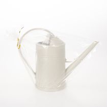 Artikel Gieter met afneembare sproeikop. Ideaal voor kamerplanten en balkons. 32 cm