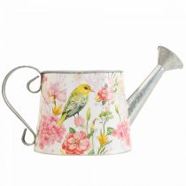 Decoratieve gieter metaal voor planten, plantenbak H16cm