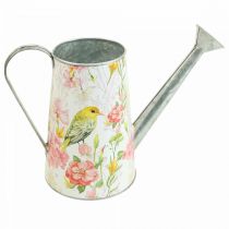 Decoratieve gieter metaal voor planten, plantenbak H22cm